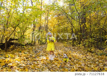 Little girl with a dog jack russell terrier. Child, childhood, friendship and pet concept. Small dog walking in the autumn park. Little girl with a dog jack russell terrier. Child, childhood, friendship and pet concept. Small dog walking in the autumn park. 71127638