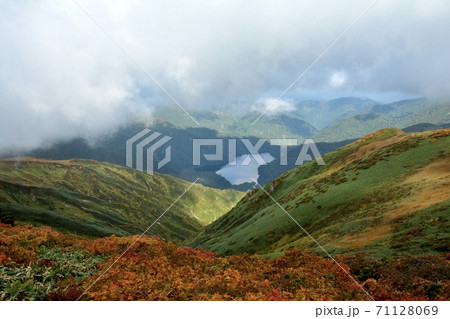 秋の大鳥池 71128069