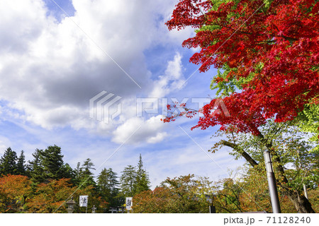 秋の上杉神社と周辺 秋の上杉神社と周辺 71128240