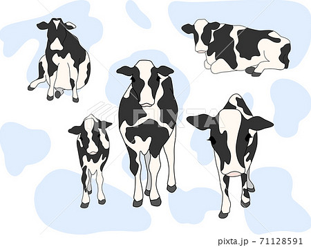 Fun Blue Cow Prints Pattern Stock Illustration - Illustration of black,  orange: 219918155