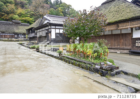 早朝の大内宿、雨に濡れるホウズキ 早朝の大内宿、雨に濡れるホウズキ 71128735