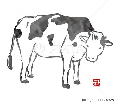 Realistic Cow Illustration Watercolor Style Stock Illustration