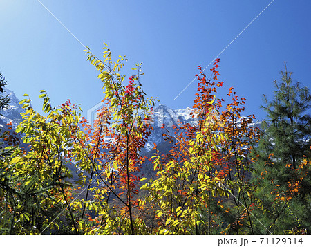 中国雲南省シャングリラ 秋の梅里雪山 / Meili Snow Mountain, China 中国雲南省シャングリラ 秋の梅里雪山 / Meili Snow Mountain, China 71129314