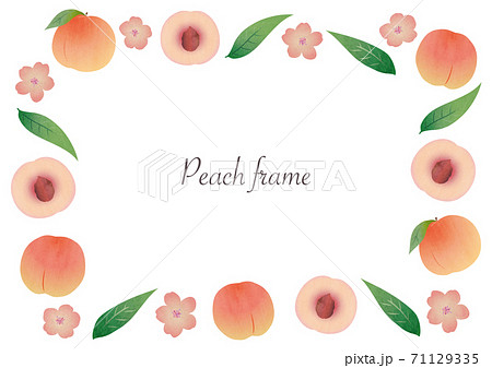 桃の実 花 葉のイラストフレームのイラスト素材