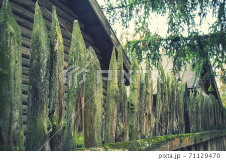 ancient style wooden wall Palisade. High wooden antique palisade. Fence made of sharp wooden stakes on the background of logs. ancient style wooden wall Palisade. toned 71129470