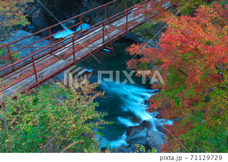 渓流と紅葉と赤い橋 奈良県野迫川村 渓流と紅葉と赤い橋 奈良県野迫川村 71129729