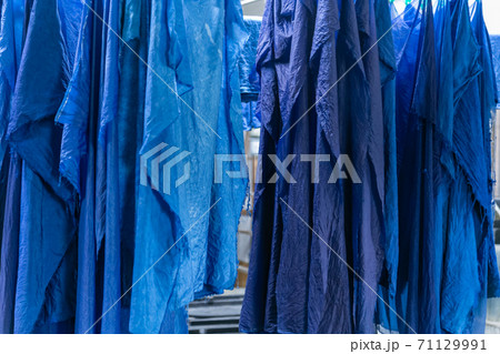 天然素材の藍染め作業 天然素材の藍染め作業 71129991