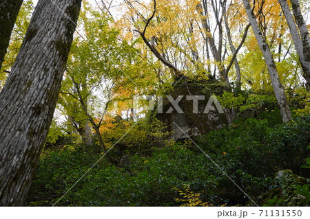 苗名滝までの道すがら山々の紅葉 苗名滝までの道すがら山々の紅葉 71131550