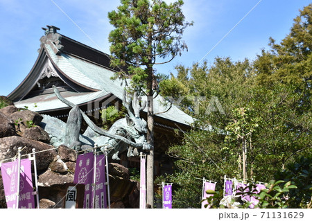 江の島の龍宮　龍大神 71131629