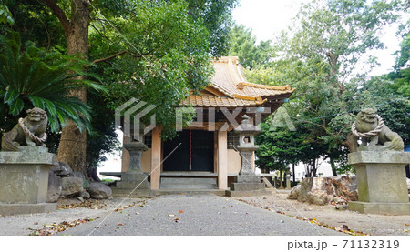 神社の本殿01（静岡県駿東郡清水町の智方神社） 71132319