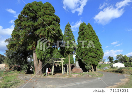 豊日孁神社(とよひるめじんじゃ)と夫婦杉(めおとすぎ) 豊日孁神社(とよひるめじんじゃ)と夫婦杉(めおとすぎ) 71133051
