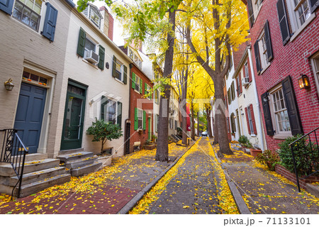 Autumn alleyway in Philadelphia, Pennsylvania, USA Autumn alleyway in Philadelphia, Pennsylvania, USA 71133101