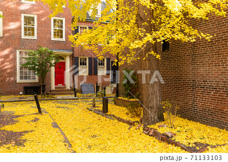 Autumn alleyway in Philadelphia, Pennsylvania, USA Autumn alleyway in Philadelphia, Pennsylvania, USA 71133103