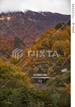 紅葉と只見線 71133344
