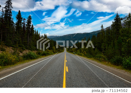 Beautiful Scenic Road, Klondike Hwy, in the Canadian Nature 71134502