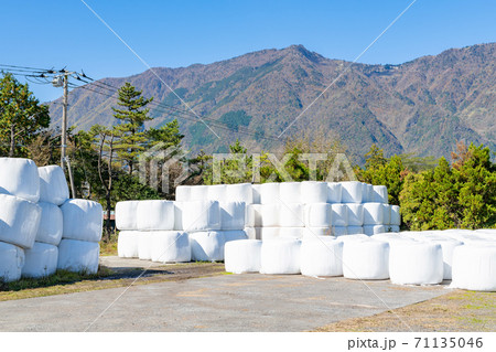 静岡県富士宮市朝霧高原 牧草サイレージ 静岡県富士宮市朝霧高原 牧草サイレージ 71135046