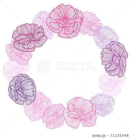 Frame with poppies. Frame with poppies. 71135348