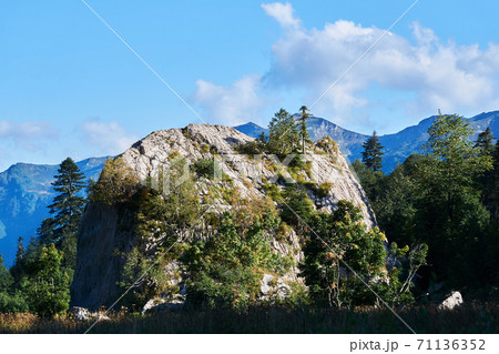 detached huge limestone cliff overgrown with trees against the backdrop of a mountain range 71136352