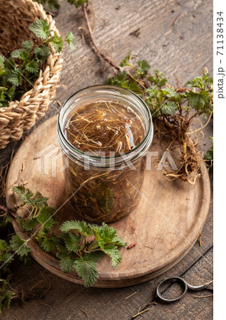 A glass jar filled with alcohol and fresh nettle root, to prepare herbal tincture A glass jar filled with alcohol and fresh nettle root, to prepare herbal tincture 71138434