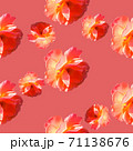 Seamless pattern with roses on a coral background. 71138676