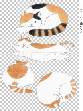 貓彩色鉛筆素描 71139683