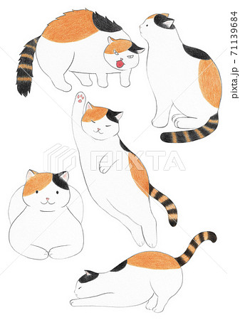 猫 睡眠 眠り 71139684