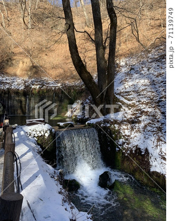 冬の白糸の滝 71139749