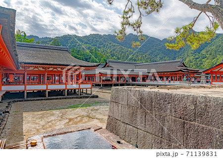 安芸の宮島 厳島神社の美しい境内風景 71139831