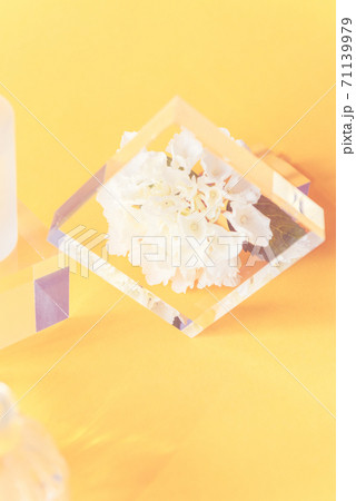 Acrylic Solid Display Blocks 71139979