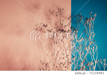Decor from dry flowers or twigs 71139981