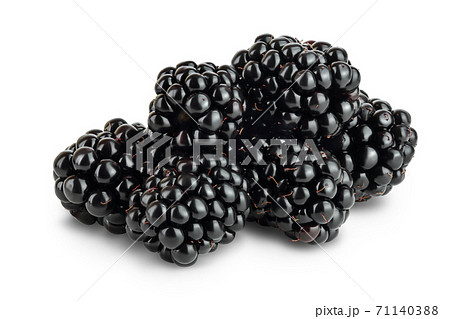 blackberry isolated on a white background closeup. Clipping path and full depth of field blackberry isolated on a white background closeup. Clipping path and full depth of field 71140388