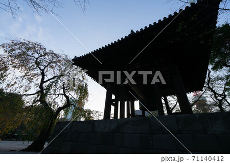 増上寺 71140412