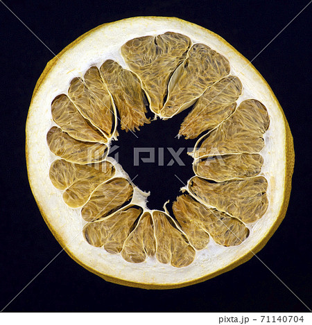 dried grapefruit slice on a dark background dried grapefruit slice on a dark background 71140704