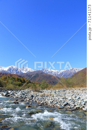 白馬の秋　冠雪した白馬三山と三段染めの紅葉 71141173