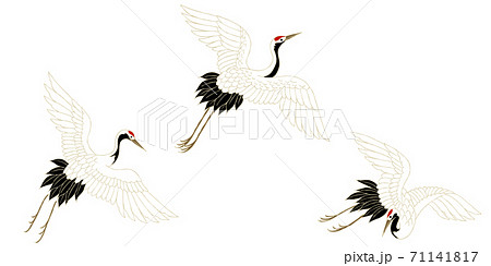 鶴　飛翔　単体 71141817