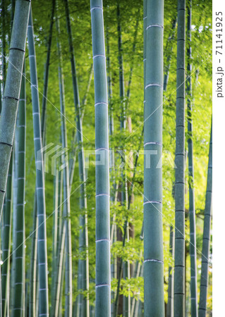 旧有備館 国指定史跡・名勝 旧有備館 国指定史跡・名勝 71141925