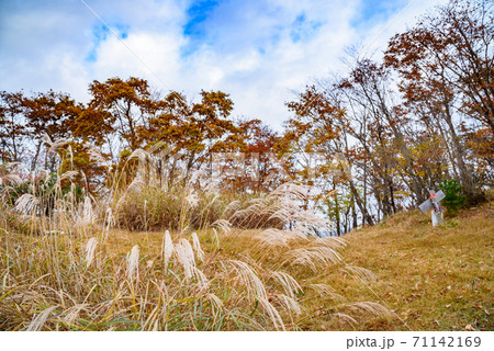 (山梨県)秋の御坂山地大石峠 (山梨県)秋の御坂山地大石峠 71142169