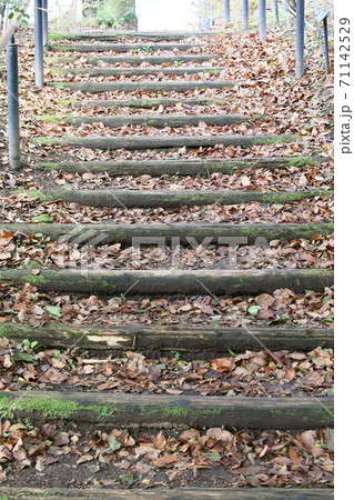 ぐんまフラワーパーク ぐんまフラワーパーク 71142529