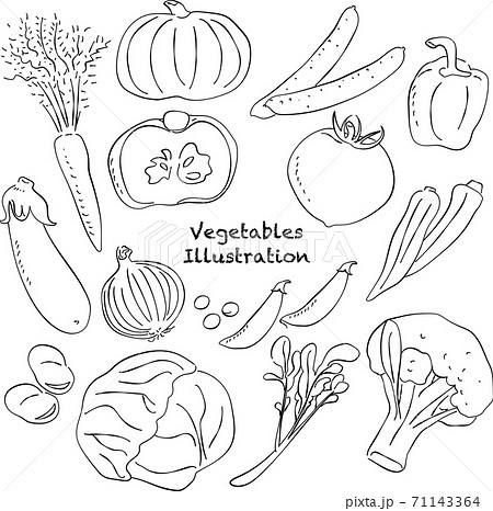 イラストデータ販売 野菜 あしらい ペン画 手書き イラストデータ 公式 イラスト素材サイト イラストダウンロード