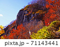 秋に染まる銭函天狗岳 71143441
