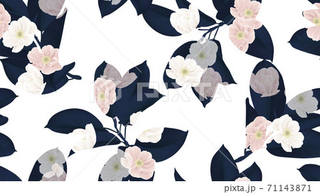 Floral Seamless Pattern Dark Blue Ficus のイラスト素材