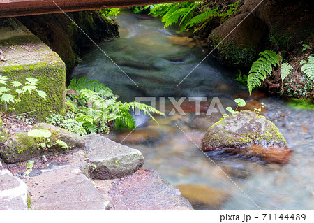 蒜山高原 新緑と清流の塩釜 蒜山高原 新緑と清流の塩釜 71144489