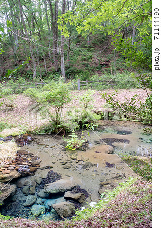 蒜山高原 新緑と清流の塩釜 蒜山高原 新緑と清流の塩釜 71144490