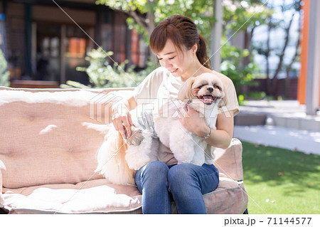 愛犬をブラッシングする飼い主 71144577