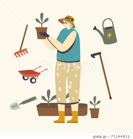 Senior Woman Gardening or Farming Hobby. Aged Grey Haired Female Character in Gloves Caring of Home Plants in Pots 71144911