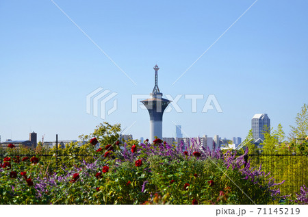 鶴見緑地公園（大阪）からの眺望 71145219