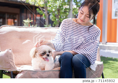 ドッグカフェにきた女性 ドッグカフェにきた女性 71145932