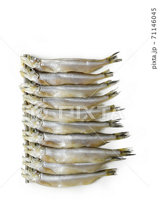 北海道産 生ししゃも オス の写真素材