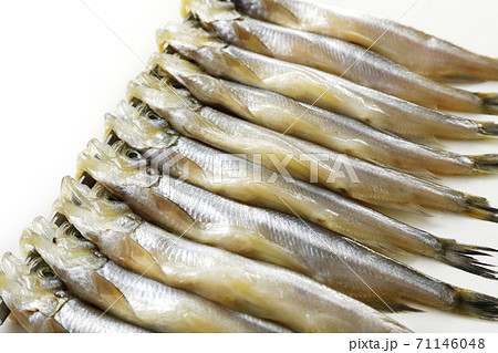 北海道産 生ししゃも オス の写真素材