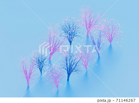 Alley of decorative pink and blue trees on blue background, 3d render Alley of decorative pink and blue trees on blue background, 3d render 71146267